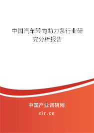 中國(guó)汽車轉(zhuǎn)向助力泵行業(yè)研究分析報(bào)告