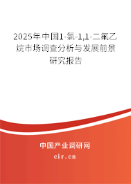 2025年中國1-氯-1,1-二氟乙烷市場調(diào)查分析與發(fā)展前景研究報告