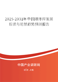 2025-2031年中國爆炸焊發(fā)展現(xiàn)狀與前景趨勢預測報告