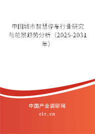 中國(guó)城市智慧停車(chē)行業(yè)研究與前景趨勢(shì)分析（2025-2031年）