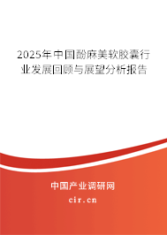 2025年中國酚麻美軟膠囊行業(yè)發(fā)展回顧與展望分析報(bào)告