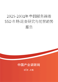 2025-2031年中國服務(wù)器級SSD市場調(diào)查研究與前景趨勢報告