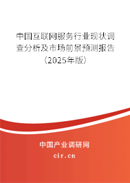 中國互聯(lián)網(wǎng)服務(wù)行業(yè)現(xiàn)狀調(diào)查分析及市場前景預(yù)測報告（2025年版）