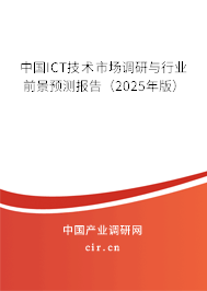 中國ICT技術(shù)市場(chǎng)調(diào)研與行業(yè)前景預(yù)測(cè)報(bào)告（2025年版）