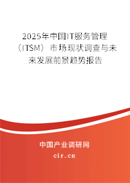 2025年中國IT服務(wù)管理(ITSM)市場現(xiàn)狀調(diào)查與未來發(fā)展前景趨勢報告 2025年中國IT服務(wù)管理(ITSM)市場現(xiàn)狀調(diào)查與未來發(fā)展前景趨勢報告