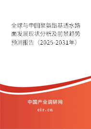 全球與中國聚氨酯基透水路面發(fā)展現(xiàn)狀分析及前景趨勢預(yù)測報告（2025-2031年）