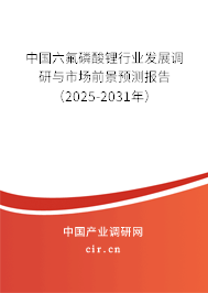 中國六氟磷酸鋰行業(yè)發(fā)展調(diào)研與市場前景預(yù)測報告（2025-2031年）