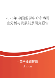 2025年中國(guó)留學(xué)中介市場(chǎng)調(diào)查分析與發(fā)展前景研究報(bào)告