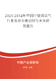 2025-2031年中國(guó)寧夏煤層氣行業(yè)發(fā)展全面調(diào)研與未來(lái)趨勢(shì)報(bào)告