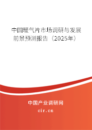 中國暖氣片市場調(diào)研與發(fā)展前景預測報告（2025年）