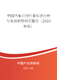 中國汽車燈泡行業(yè)現(xiàn)狀分析與發(fā)展趨勢研究報(bào)告（2025年版）