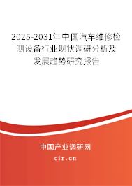 2025-2031年中國汽車維修檢測設(shè)備行業(yè)現(xiàn)狀調(diào)研分析及發(fā)展趨勢研究報告