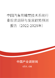 中國汽車用觸覺技術(shù)系統(tǒng)行業(yè)現(xiàn)狀調(diào)研與發(fā)展趨勢預(yù)測報告（2022-2028年）