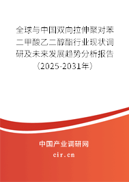 全球與中國(guó)雙向拉伸聚對(duì)苯二甲酸乙二醇酯行業(yè)現(xiàn)狀調(diào)研及未來發(fā)展趨勢(shì)分析報(bào)告（2024-2030年）