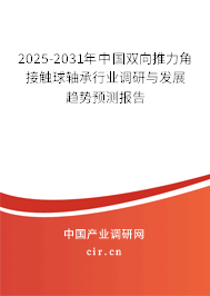 2025-2031年中國雙向推力角接觸球軸承行業(yè)調(diào)研與發(fā)展趨勢預(yù)測報告