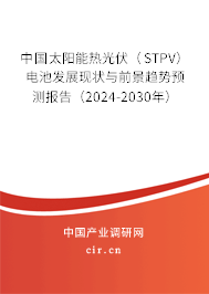 中國太陽能熱光伏（STPV）電池發(fā)展現(xiàn)狀與前景趨勢預(yù)測報告（2024-2030年）