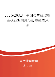 2025-2031年中國芯片級玻璃基板行業(yè)研究與前景趨勢預測