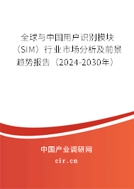 全球與中國用戶識別模塊（SIM）行業(yè)市場分析及前景趨勢報告（2024-2030年）