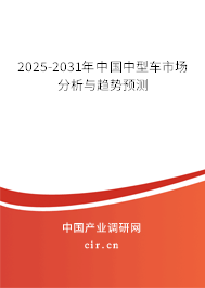 2025-2031年中國中型車市場分析與趨勢預(yù)測 2025-2031年中國中型車市場分析與趨勢預(yù)測