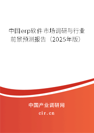 中國(guó)erp軟件市場(chǎng)調(diào)研與行業(yè)前景預(yù)測(cè)報(bào)告（2025年版）