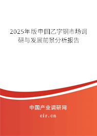 2025年版中國(guó)乙字鋼市場(chǎng)調(diào)研與發(fā)展前景分析報(bào)告