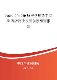 2009-2012年新經(jīng)濟形勢下深圳酒店行業(yè)發(fā)展前景預(yù)測報告
