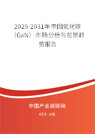 2025-2031年中國氮化鎵（GaN）市場分析與前景趨勢報告