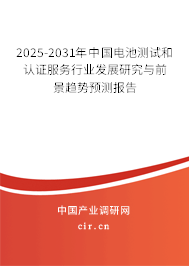 2025-2031年中國電池測試和認(rèn)證服務(wù)行業(yè)發(fā)展研究與前景趨勢預(yù)測報告