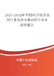 2025-2031年中國電子級多晶硅行業(yè)發(fā)展全面調研與未來趨勢報告