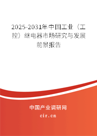 2025-2031年中國工業(yè)（工控）繼電器市場研究與發(fā)展前景報告