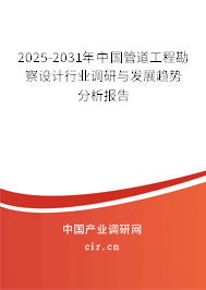 2025-2031年中國管道工程勘察設(shè)計(jì)行業(yè)調(diào)研與發(fā)展趨勢分析報(bào)告