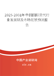 2025-2031年中國國際貨代行業(yè)發(fā)展研及市場前景預(yù)測報(bào)告