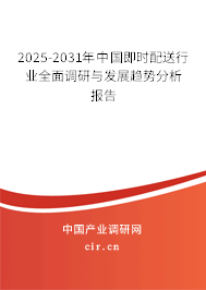 2025-2031年中國即時配送行業(yè)全面調(diào)研與發(fā)展趨勢分析報告