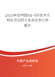 2025年版中國NB-IOT技術市場現(xiàn)狀調研與發(fā)展前景分析報告