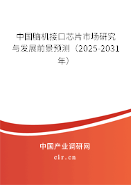中國腦機(jī)接口芯片市場(chǎng)研究與發(fā)展前景預(yù)測(cè)（2025-2031年）