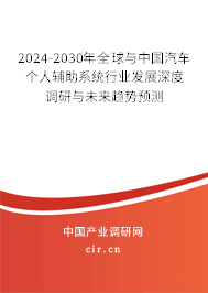 2024-2030年全球與中國汽車個(gè)人輔助系統(tǒng)行業(yè)發(fā)展深度調(diào)研與未來趨勢預(yù)測