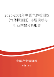 2025-2031年中國氣體檢測儀（氣體探測器）市場現(xiàn)狀與行業(yè)前景分析報(bào)告