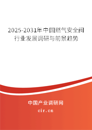 2025-2031年中國(guó)燃?xì)獍踩y行業(yè)發(fā)展調(diào)研與前景趨勢(shì)