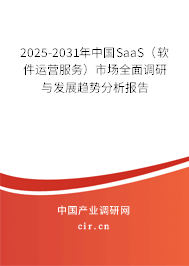 2025-2031年中國SaaS（軟件運(yùn)營服務(wù)）市場全面調(diào)研與發(fā)展趨勢分析報(bào)告