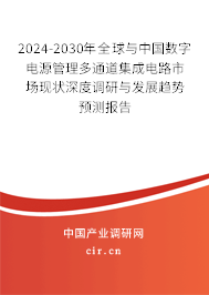 2024-2030年全球與中國數(shù)字電源管理多通道集成電路市場現(xiàn)狀深度調(diào)研與發(fā)展趨勢預測報告