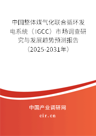 中國(guó)整體煤氣化聯(lián)合循環(huán)發(fā)電系統(tǒng)（IGCC）市場(chǎng)調(diào)查研究與發(fā)展趨勢(shì)預(yù)測(cè)報(bào)告（2025-2031年）