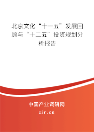 北京文化“十一五”發(fā)展回顧與“十二五”投資規(guī)劃分析報(bào)告