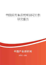 中國(guó)乘用車座椅項(xiàng)目可行性研究報(bào)告