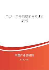 二〇一二年假肢項目商業(yè)計劃書