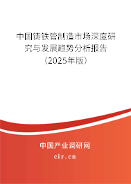 中國(guó)鑄鐵管制造市場(chǎng)深度研究與發(fā)展趨勢(shì)分析報(bào)告（2025年版）