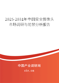 2025-2031年中國安全攝像頭市場調研與前景分析報告