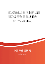 中國(guó)城鎮(zhèn)化金融行業(yè)現(xiàn)狀調(diào)研及發(fā)展前景分析報(bào)告（2025-2031年）