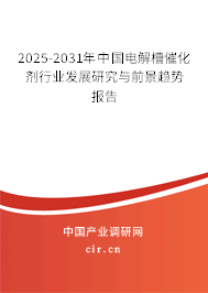 2025-2031年中國電解槽催化劑行業(yè)發(fā)展研究與前景趨勢報告