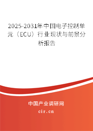 2025-2031年中國電子控制單元（ECU）行業(yè)現(xiàn)狀與前景分析報(bào)告