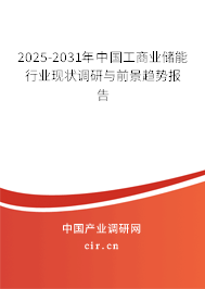 2025-2031年中國工商業(yè)儲能行業(yè)現(xiàn)狀調(diào)研與前景趨勢報告